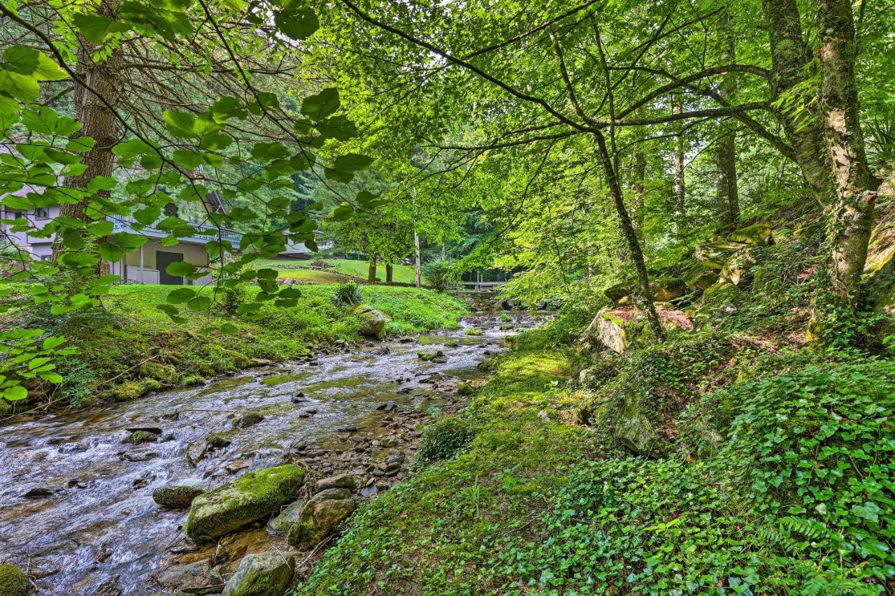 Roan Mountain Creekside Cabin Hike And Fish! Exterior photo